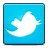 1358132408_social_twitter_bird