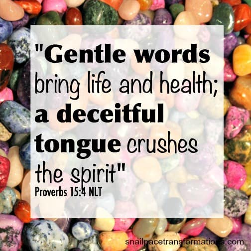 Gentle Words | Facebook