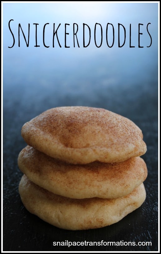 Snickerdoodles, yummy, moist, chewy cookie