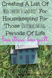 creating a list of minimum standards for housekeeping during those overwhelming periods of life