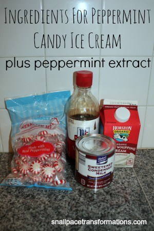 ingredients for peppermint candy ice cream