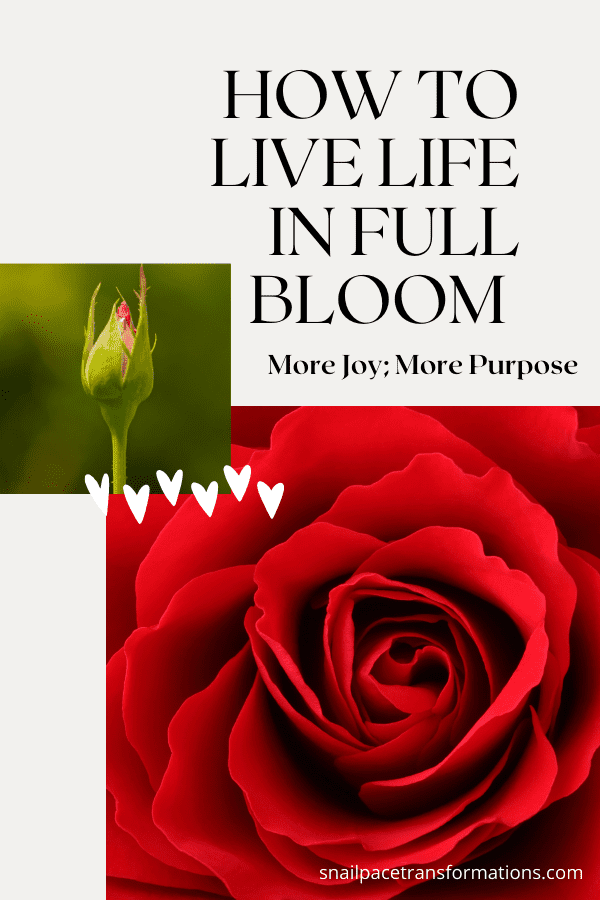 How To Live Life In Full Bloom (More Joy; More Purpose)