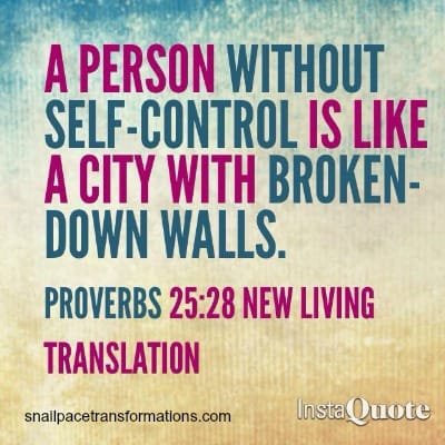 selfcontrol proverbs 2528