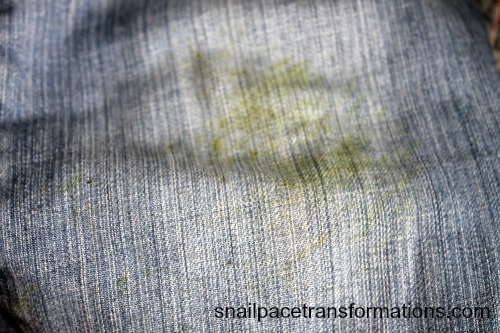 grass stain