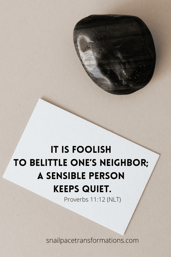 Proverbs 11:12 "It is foolish to belittle one's neighbor; a sensible person keeps quiet." (NLT)