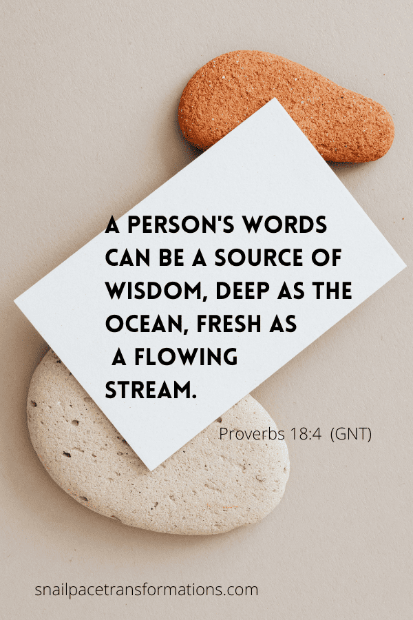 Proverbs 18:4 "A person's words can be a source of wisdom, deep as the ocean, fresh as a flowing stream." (GNT)