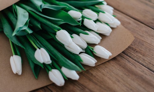 Slow down and enjoy spring by enjoying a bouquet of tulips.