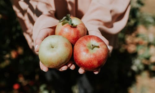 Fall date idea--apple picking!