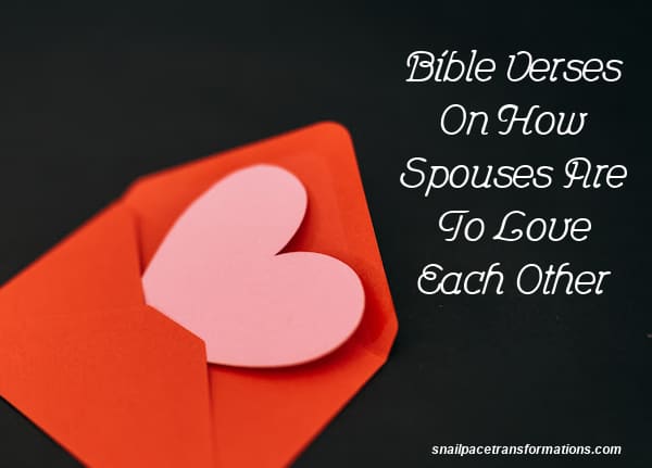 Bible Verses On How Spouses Are To Love Each Other